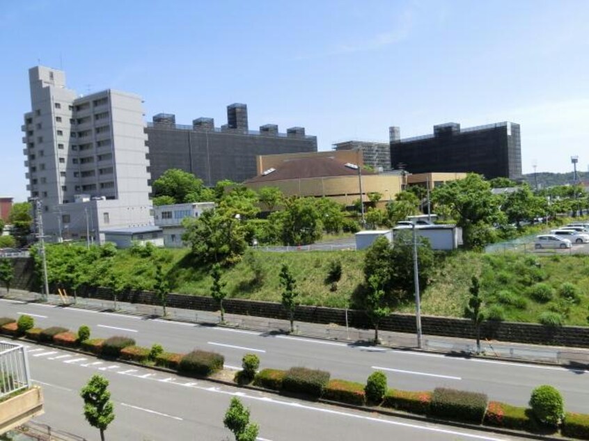  ニュータウン　ビュー