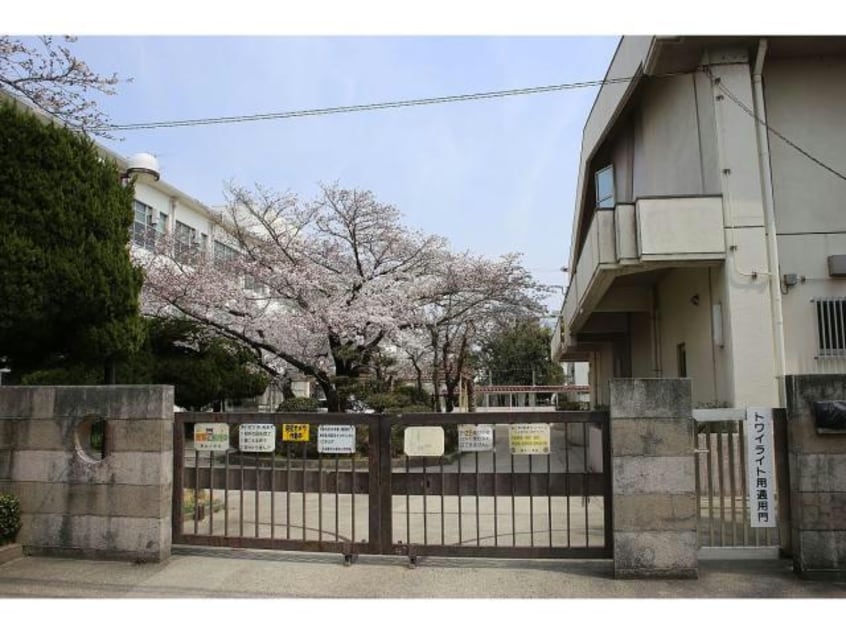 名古屋市立瀬古小学校(小学校)まで273m ピュア・シュメール