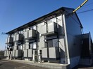  ハイライズ・サン