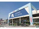 ホームプラザナフコ守山店(電気量販店/ホームセンター)まで1163m ファビュラス