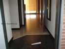  レオネクストツインクルしだみ