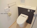 同型モデル プリーザント
