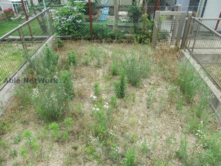  リヴィエール川上