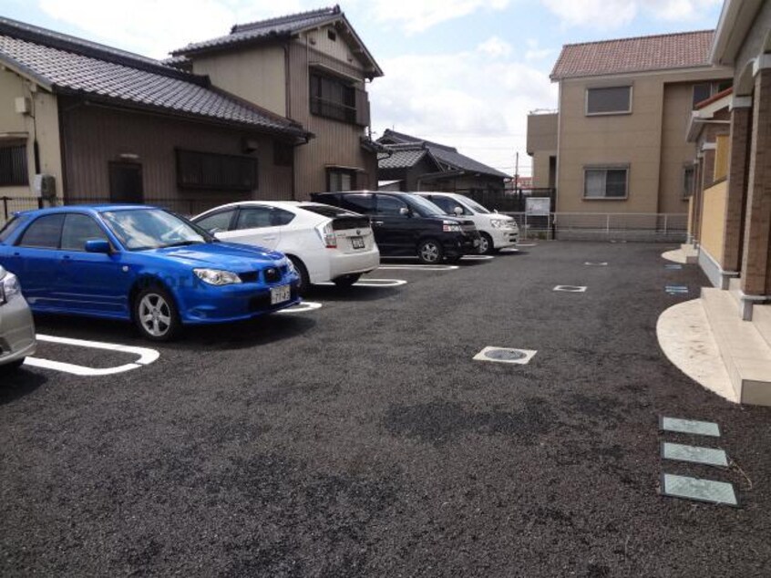  イエローソーワ