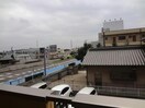  イエローソーワ
