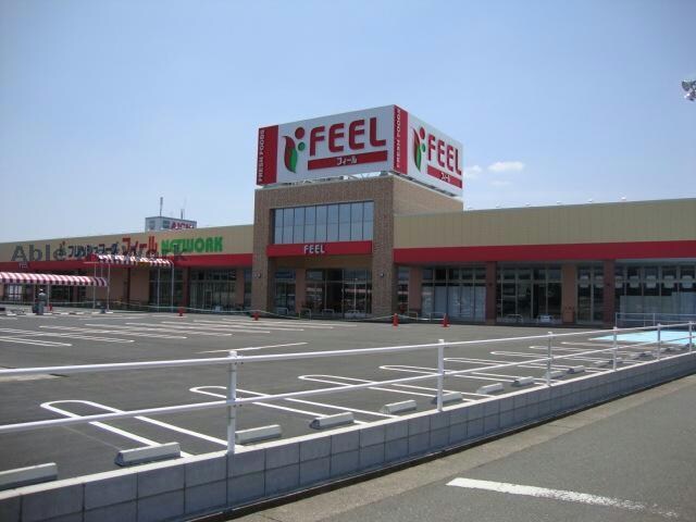 フィールネットワーク(スーパー)まで1065m グラン・シャリオ（高山町）