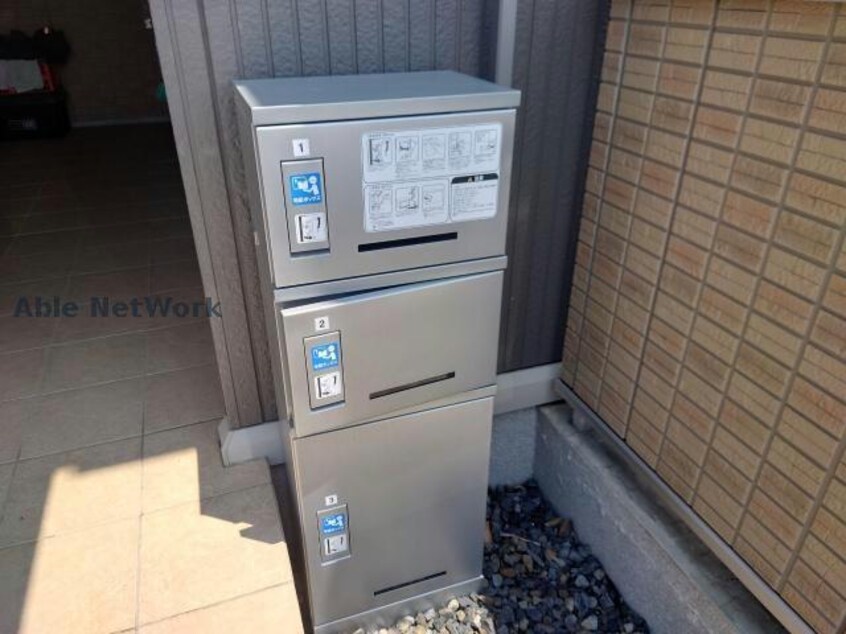  アルブル藤