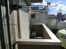 アルブル藤