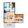 Bloomington 1LDKの間取り