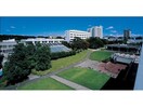 私立中部大学(大学/短大/専門学校)まで2332m メゾン庄名Ⅱ