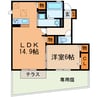 プリメーラ　SOUTH 1LDKの間取り