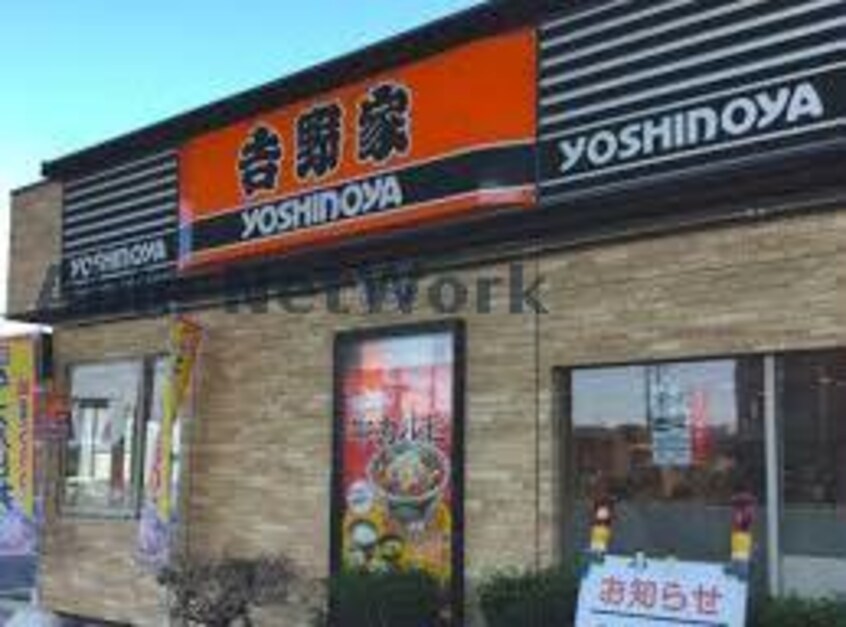 吉野家41号線豊場南店(ファストフード)まで937m アムールⅡ