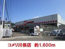 コメリ(電気量販店/ホームセンター)まで1600m コーポTomi