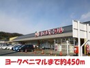 ヨークベニマル(スーパー)まで450m 若宮アパート