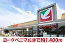 ヨークベニマル(スーパー)まで1000m ラフィネ・カナイロ