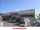 コメリ(電気量販店/ホームセンター)まで350m メゾン・ド・鶴野