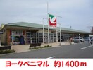 ヨークベニマル(スーパー)まで1400m コーポサンシャイン