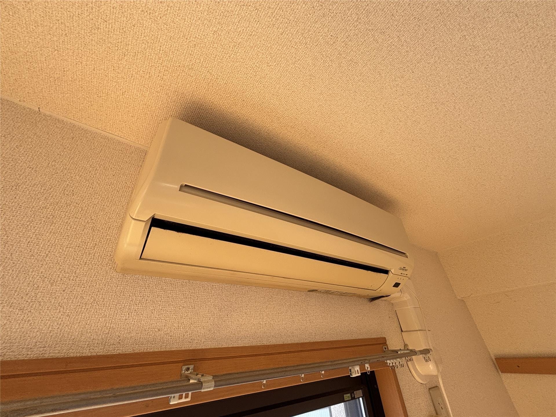  シャングリラユーミー