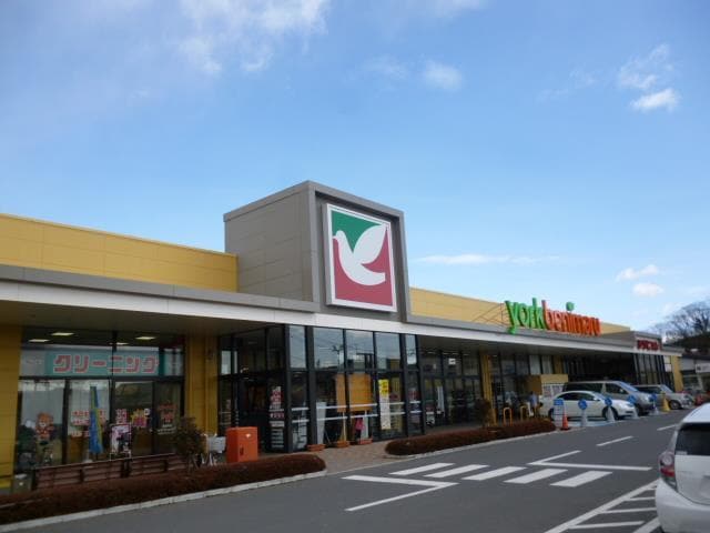 ヨークベニマル本宮舘町店(スーパー)まで626m ディアハイムII