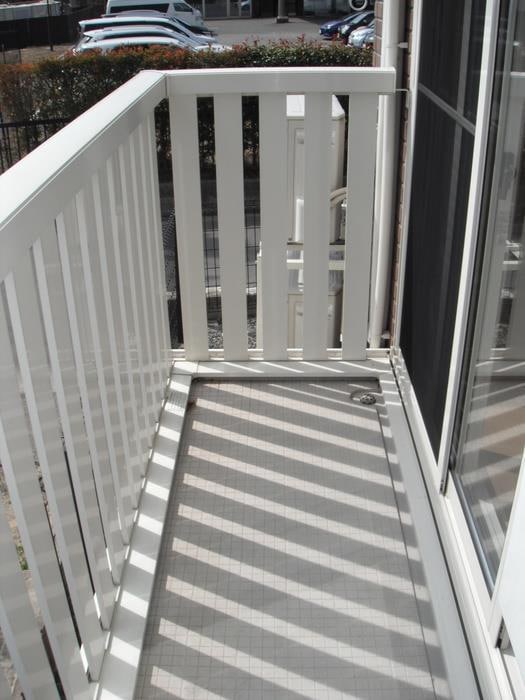  ラフィーネ・キコ