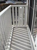  ラフィーネ・キコ