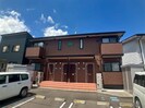 アメージング金色の外観
