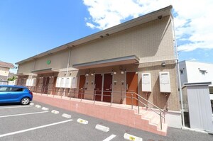D-room椿