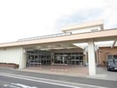 郡山市立芳山小学校(小学校)まで408m 東北新幹線（東北地方）/郡山駅 徒歩19分 5階 築45年