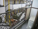  東北新幹線（東北地方）/郡山駅 バス15分鶴見坦交差点下車:停歩1分 2階 築31年
