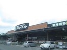 ダイユーエイト郡山インター店(電気量販店/ホームセンター)まで1060m 東北新幹線（東北地方）/郡山駅 バス17分テニスコート下車:停歩5分 1階 築29年