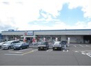 カワチ薬品城清水店(ドラッグストア)まで1989m 東北本線/郡山駅 バス23分上川原下車:停歩2分 2階 築51年