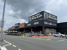 ダイユーエイト郡山金屋店(電気量販店/ホームセンター)まで903m 東北本線/安積永盛駅 徒歩28分 1階 築19年