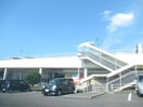 ヨークベニマル菜根店(スーパー)まで1100m※ヨークベニマル菜根店 東北本線/郡山駅 徒歩37分 2階 築2年