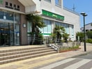 ニューデイズ須賀川(コンビニ)まで711m 東北本線/須賀川駅 徒歩9分 1階 築26年