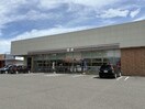 セブンイレブン須賀川稲荷町店(コンビニ)まで1008m 東北本線/須賀川駅 徒歩43分 1階 築20年