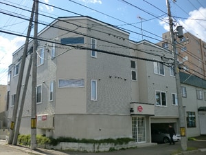 子猫の散歩道