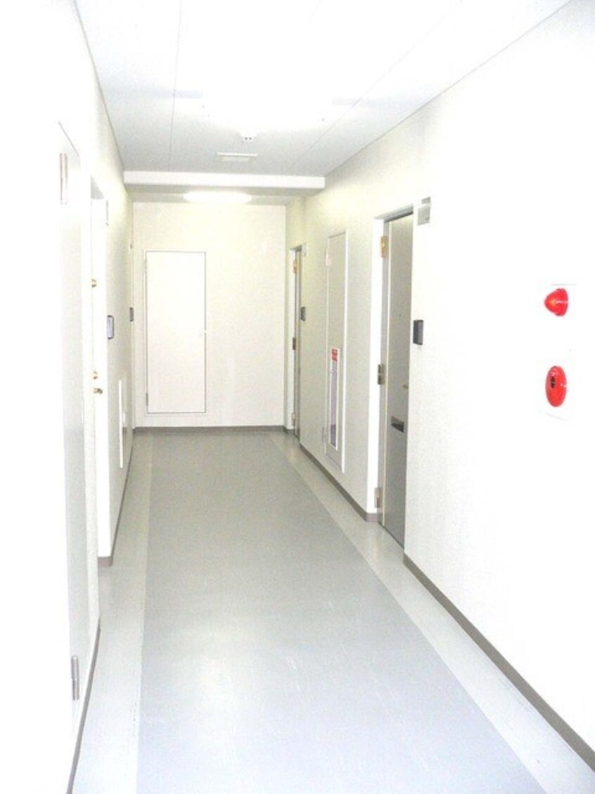  Ｎ35　FUJII　ＭＳ