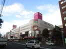 ﾀﾞｲｴｰ 栄町店(スーパー)まで784m ベルマージュII522