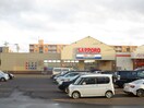 ｻｯﾎﾟﾛﾄﾞﾗｯｸﾞｽﾄｱｰ 栄町店(ドラッグストア)まで354m ベルマージュII522