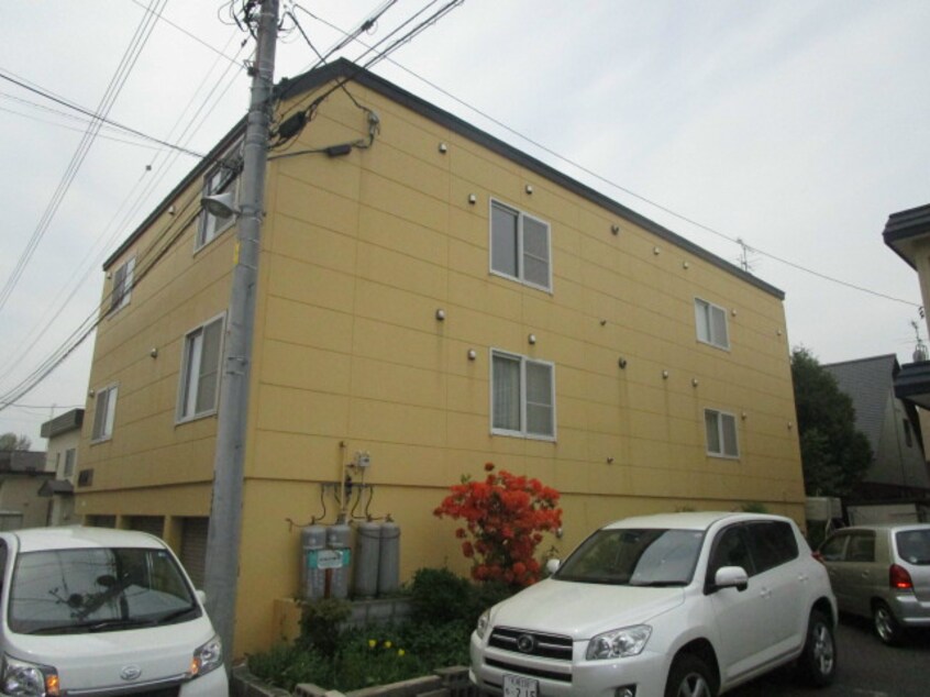  パインテール