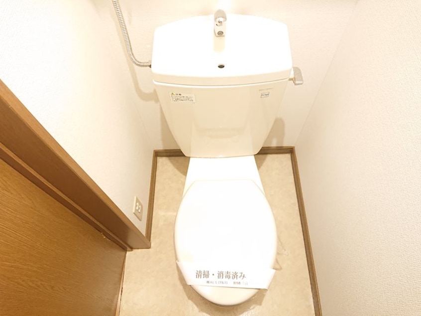  パインテール