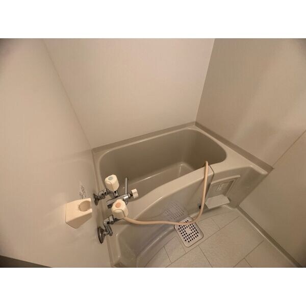  リープブルーメII