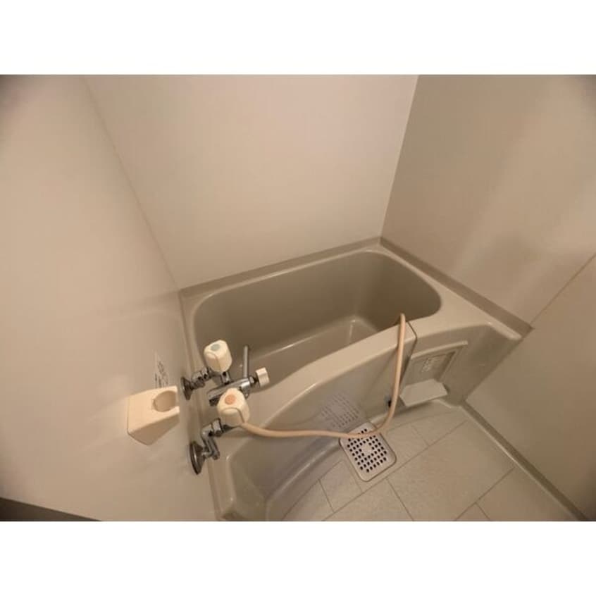  リープブルーメII