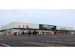 ﾎｸﾚﾝｼｮｯﾌﾟ 屯田8条店(スーパー)まで488m リアンI