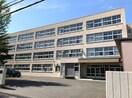札幌市立栄中学校(中学校/中等教育学校)まで1141m パストラル麻生東B