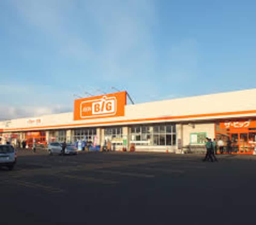 The Big（ｻﾞ･ﾋﾞｯｸﾞ） 東雁来店(スーパー)まで374m LCOURT