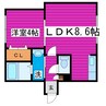 Peerson N35（ピアソン） 1LDKの間取り