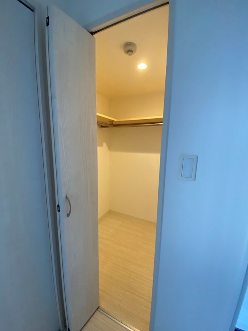  Lapis Lazuli（ラピスラズリ）