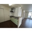  月白（つきしろ）