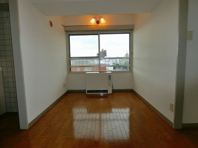  ラベンダー白石